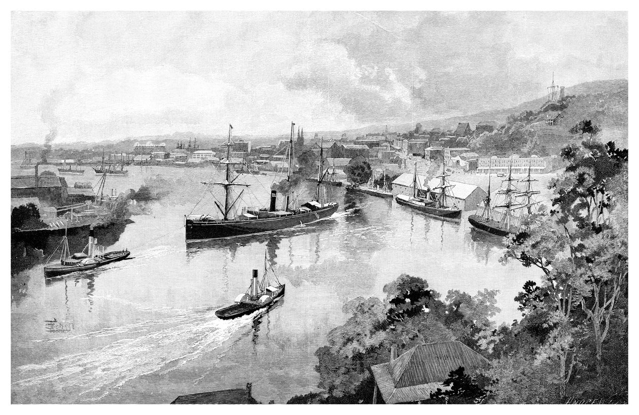 Brisbane depuis Bowen Terrace, 1886 - Unbekannt