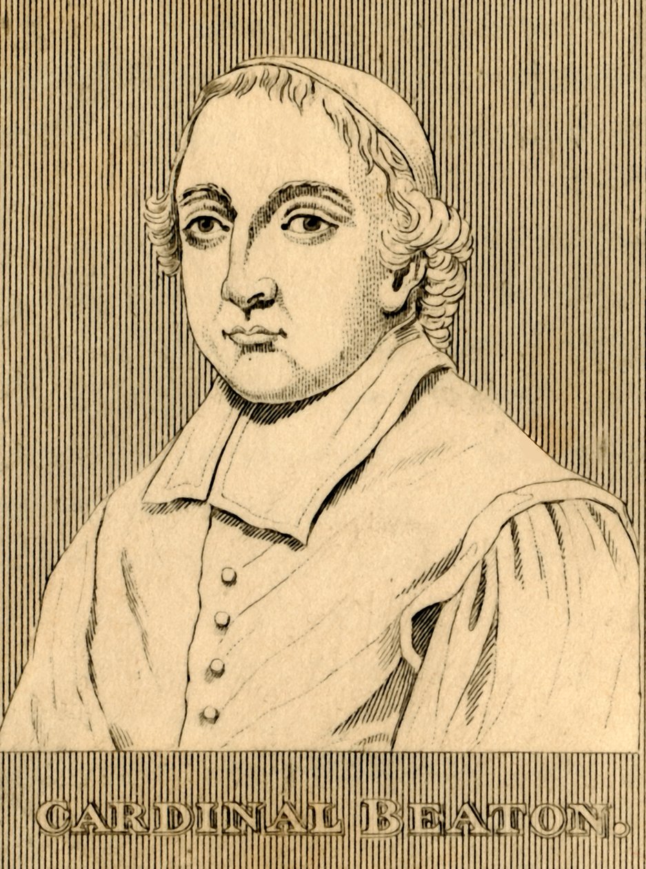 Cardinal Beaton - Unbekannt