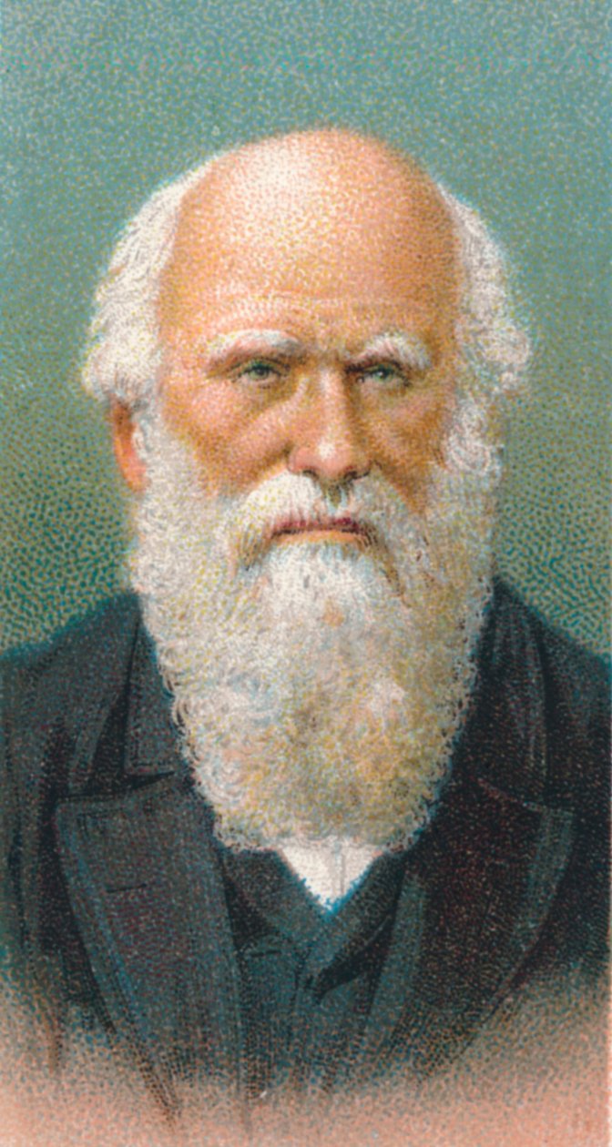 Charles Darwin 1809-1882, naturaliste britannique, 1924 - Unbekannt