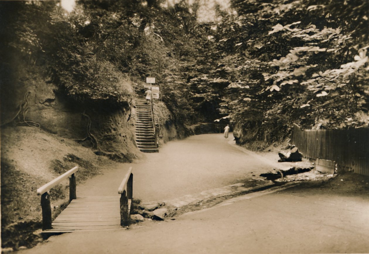 Chine Hollow, Shanklin, I.W., vers 1920 - Unbekannt