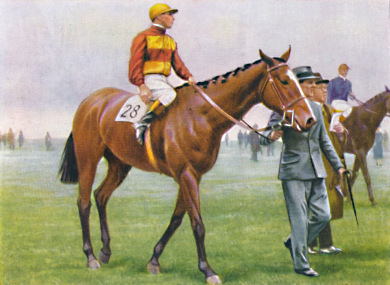 Contrevent, jockey : A. Tucker, 1939 - Unbekannt