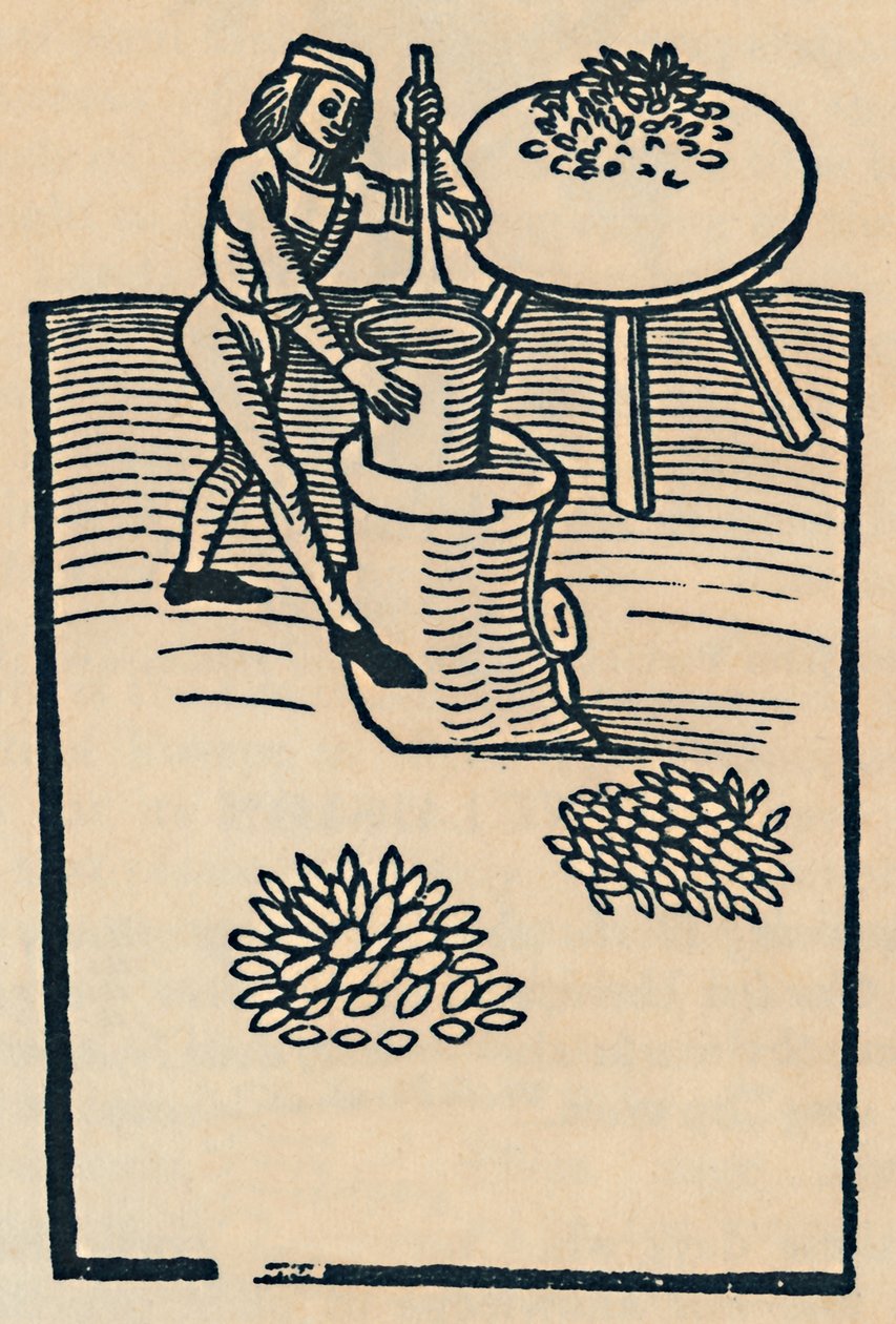 Broyage des herbes dans un mortier - Unbekannt