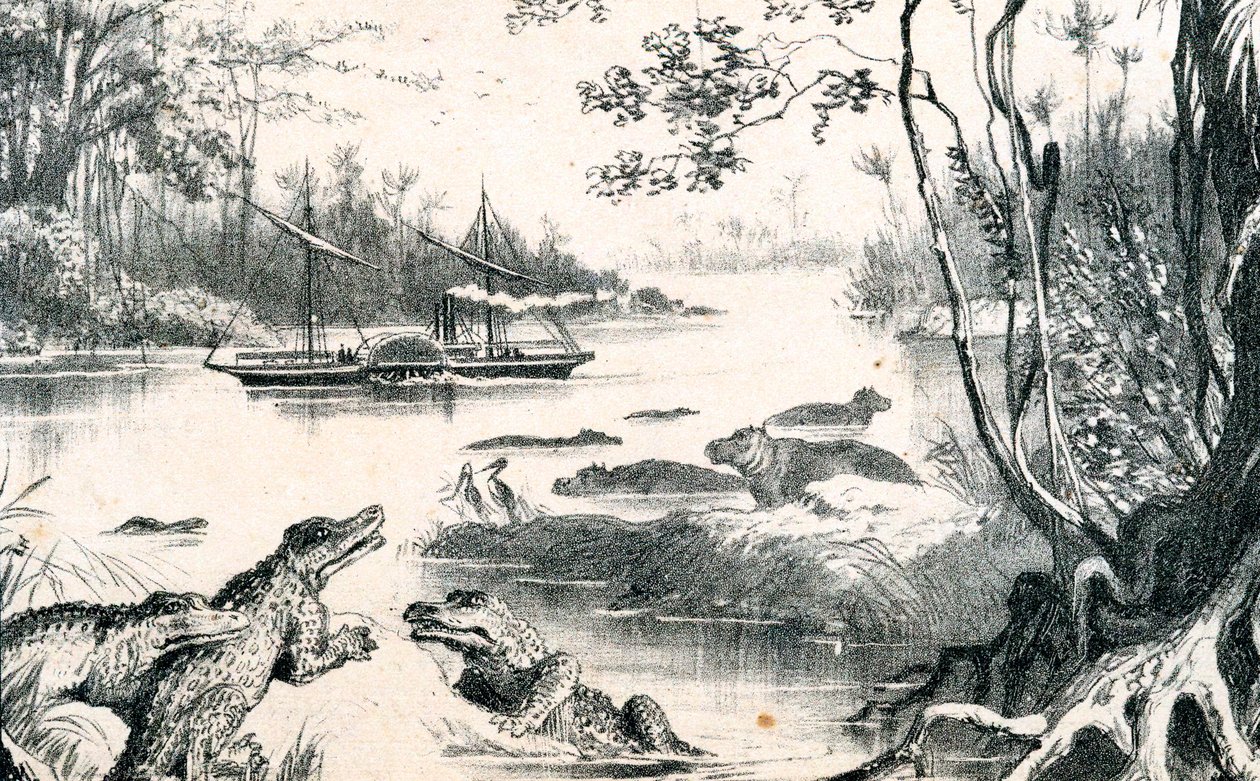 David Livingstone naviguant sur le Zambèze, Afrique, 1852-1864 c1878 - Unbekannt