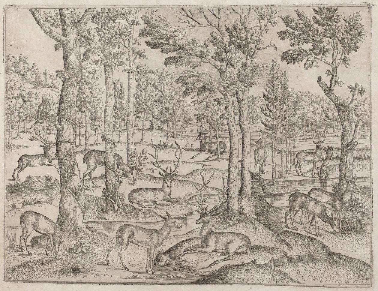 Cerfs dans la forêt, vers 1520 - Unbekannt