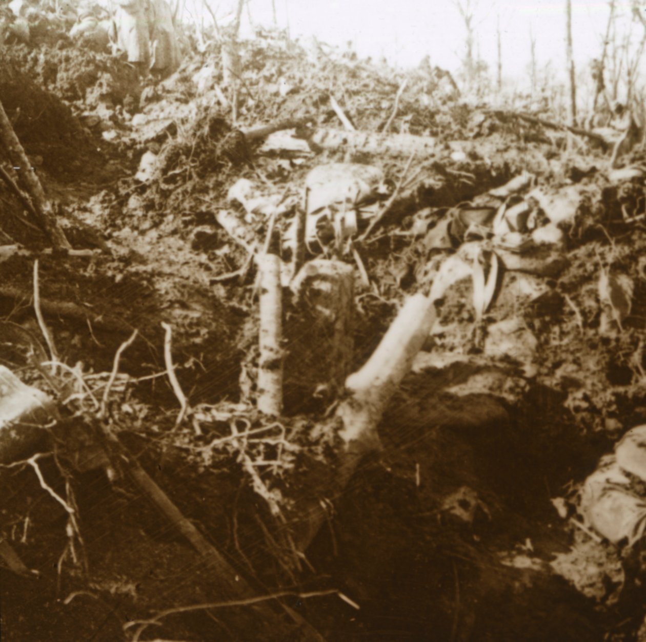Abri détruit, Les Éparges, nord de la France, 1915 - Unbekannt