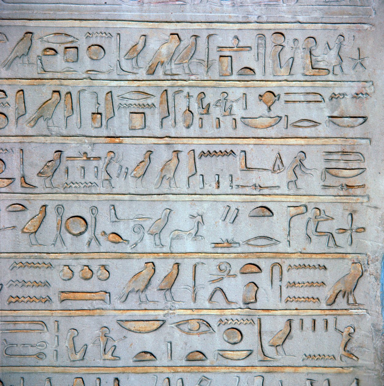 Détail de hiéroglyphes égyptiens d