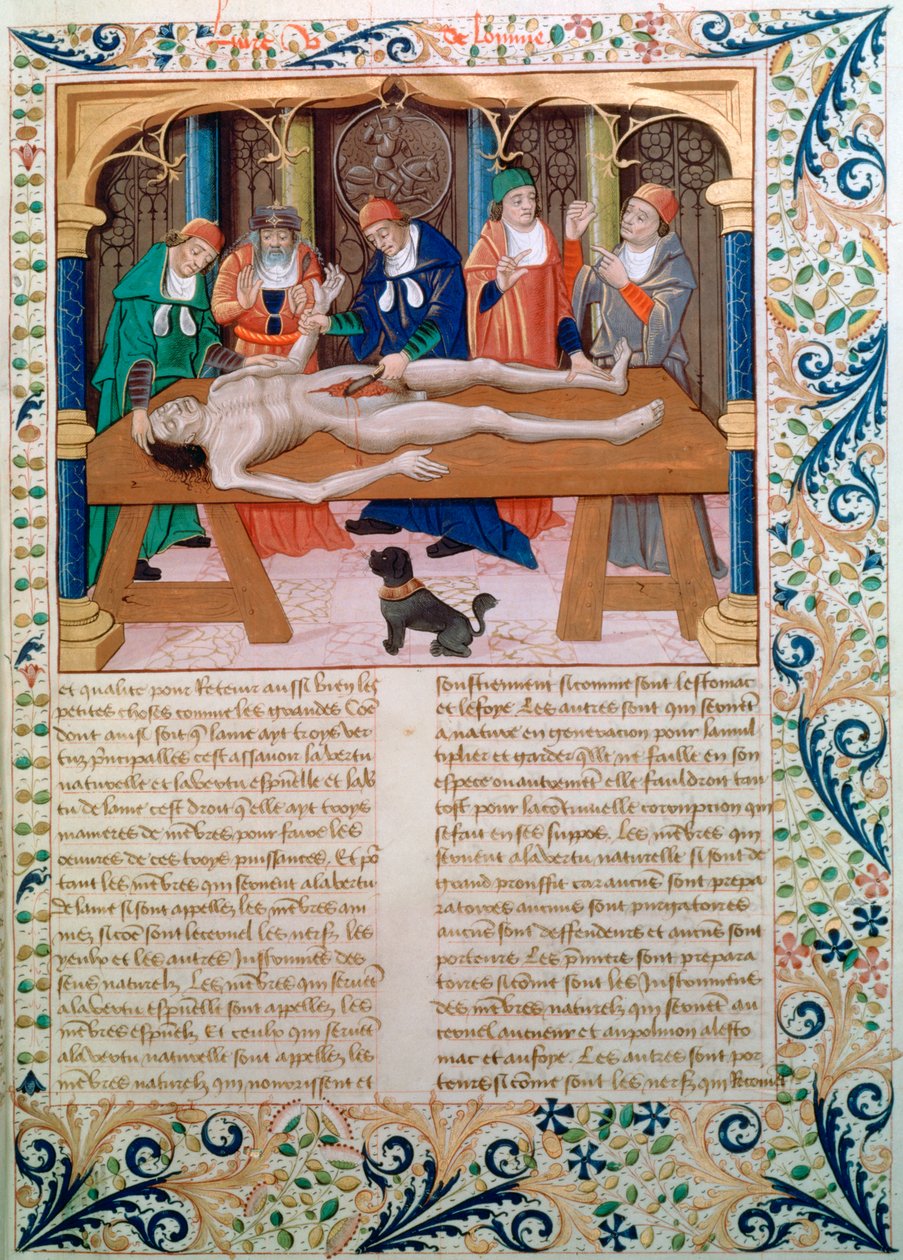 Dissection, fin du 15ème siècle - Unbekannt