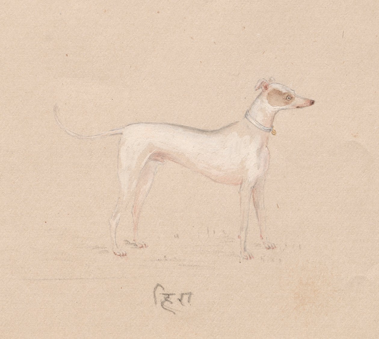 Chien, 1800s - Unbekannt