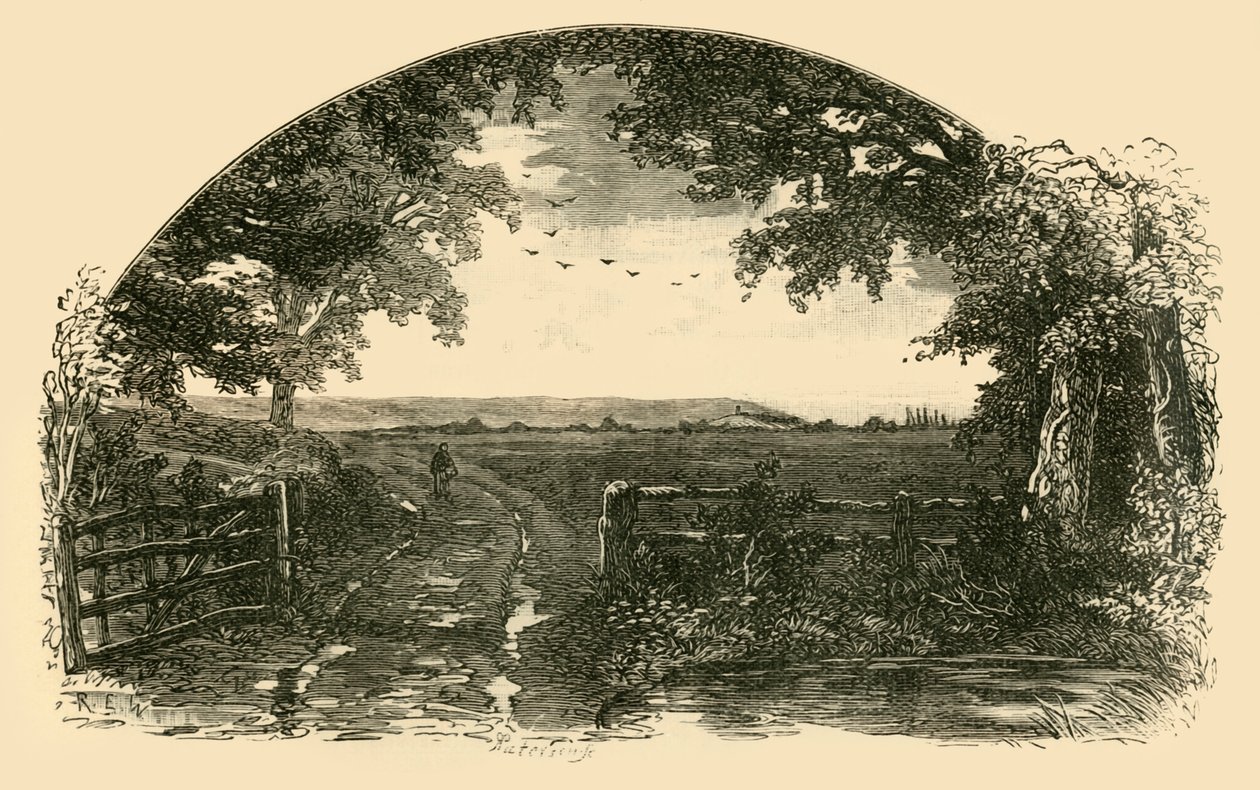 Entrée de Sedgemoor depuis Chedzoy - Unbekannt