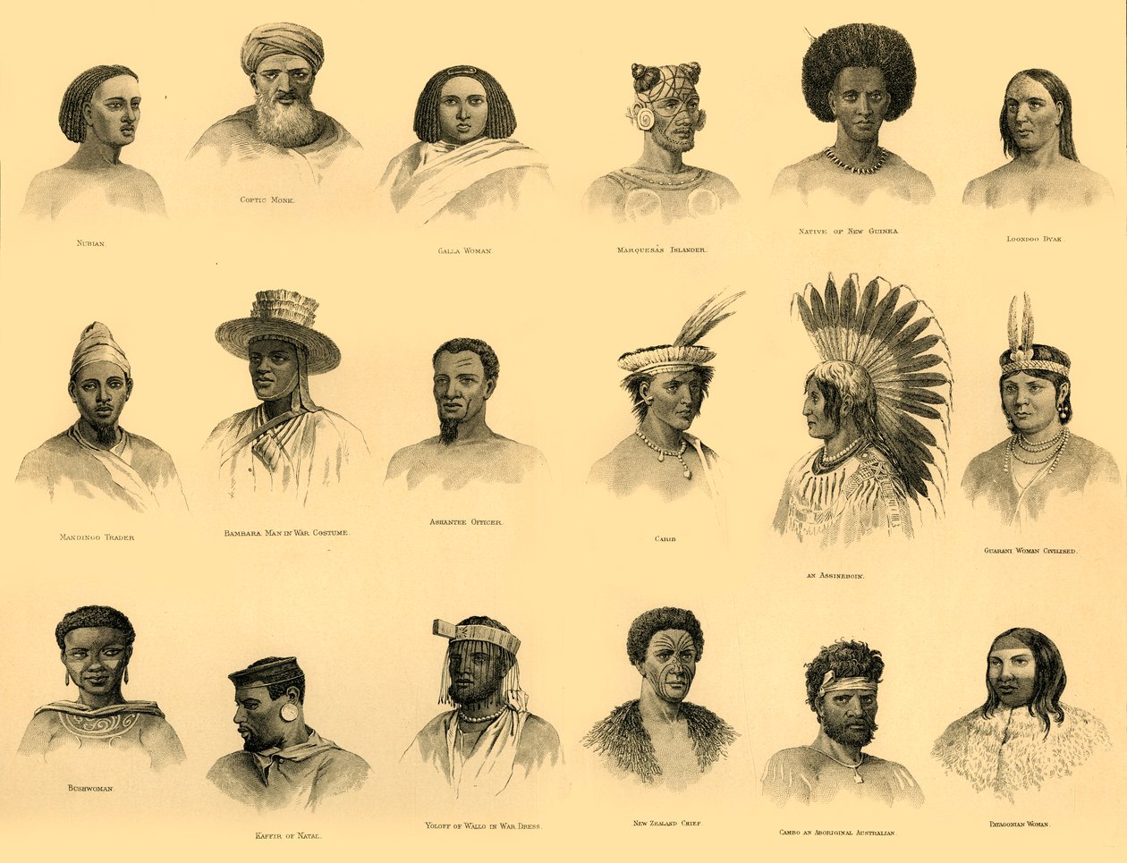 Ethnologie, c1910 - Unbekannt