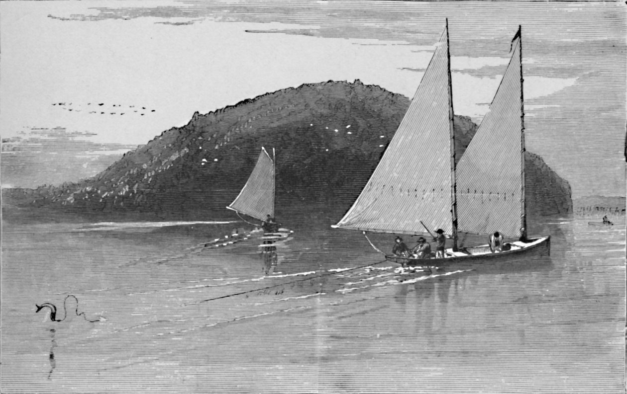 Pêche depuis un voilier, 1883 - Unbekannt