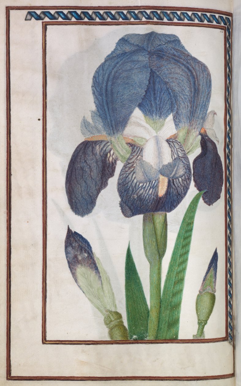 Florilège, 1608 - Unbekannt