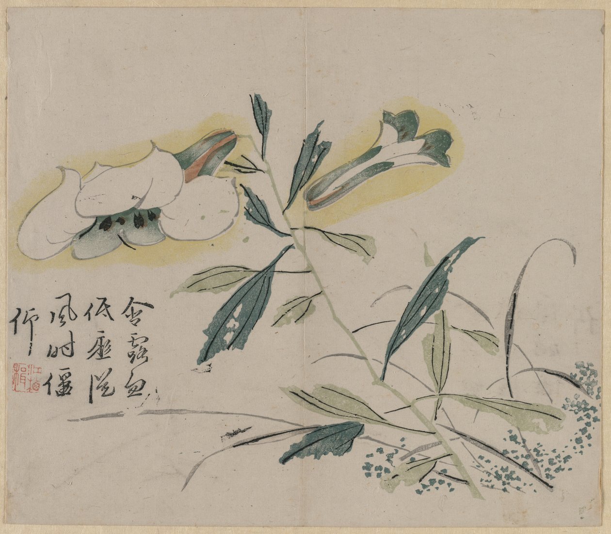 Lys en fleur, 18e siècle - Unbekannt