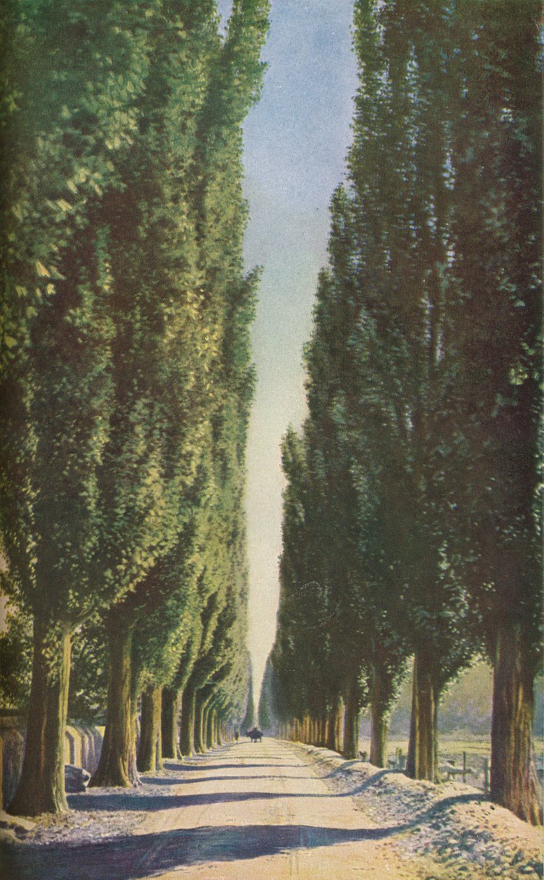 France, vers 1930s - Unbekannt