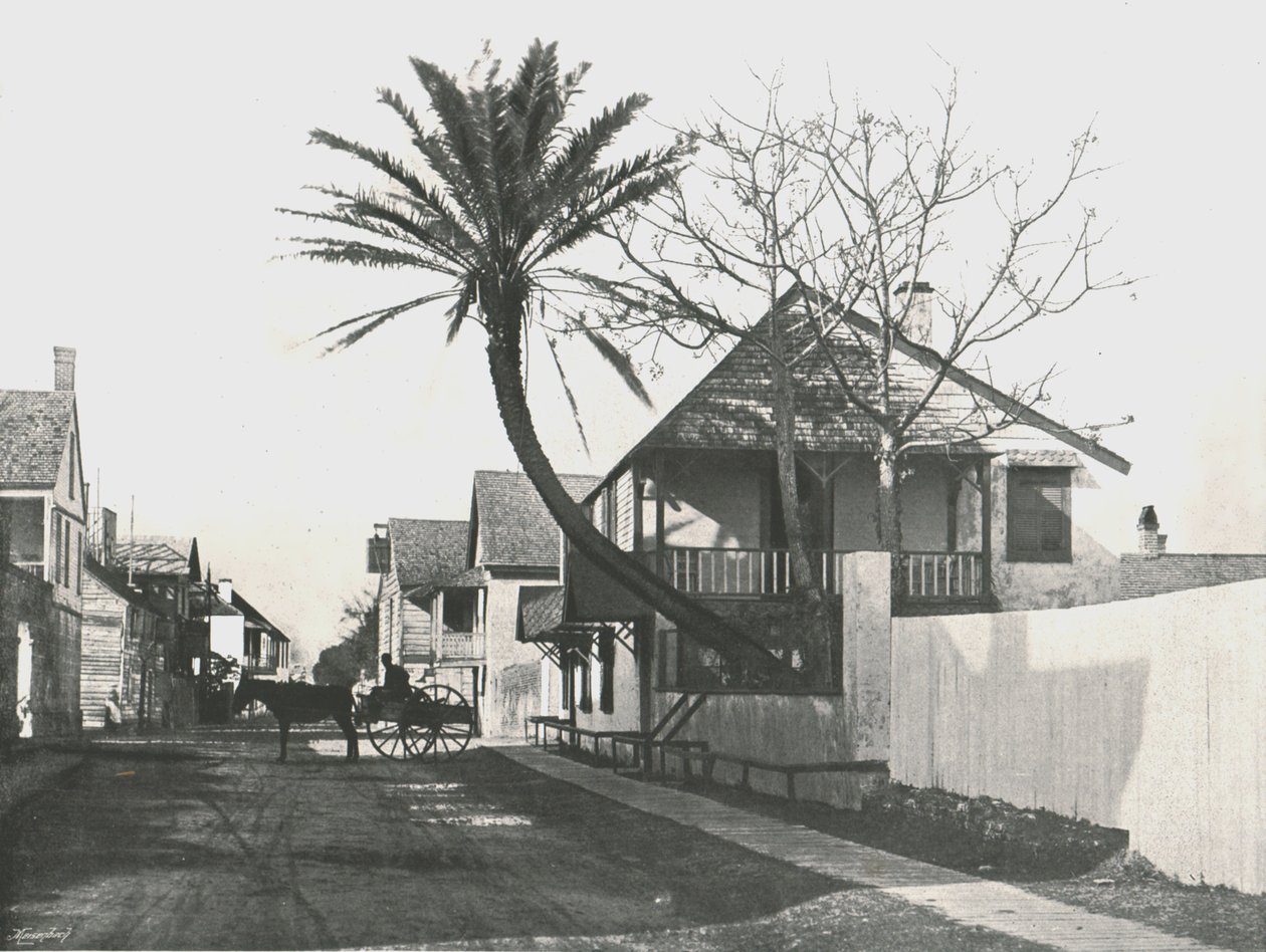 Francis Street, St Augustine, USA, 1895 - Unbekannt