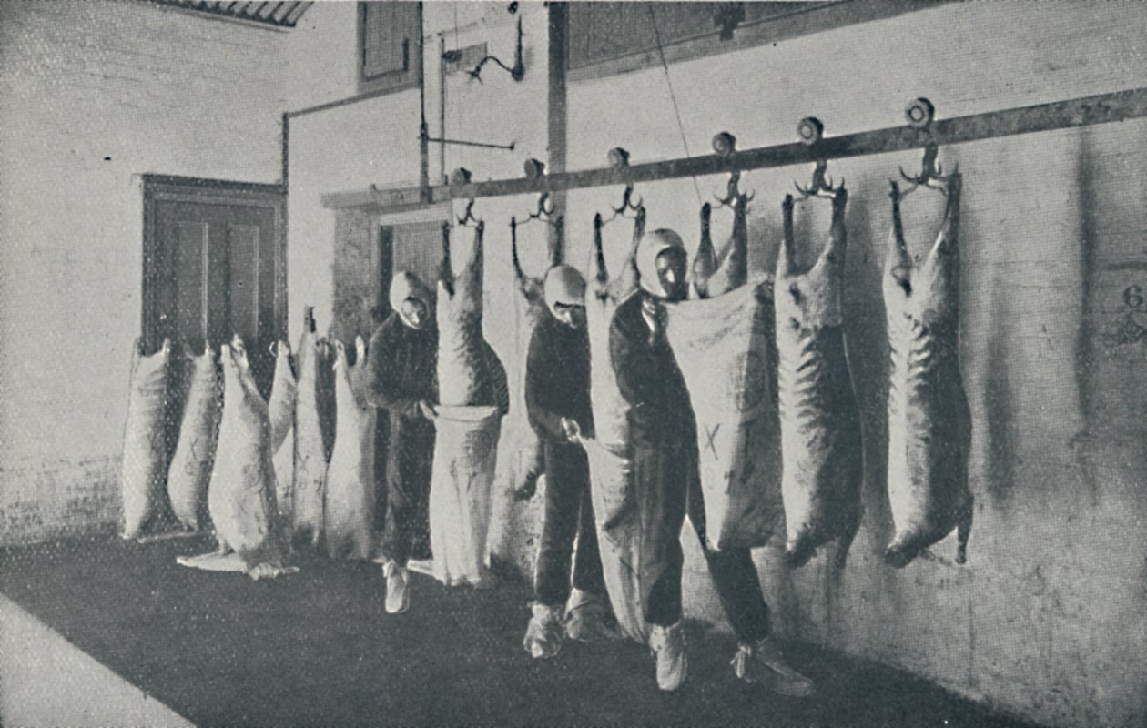 Viande congelée, 1910 - Unbekannt