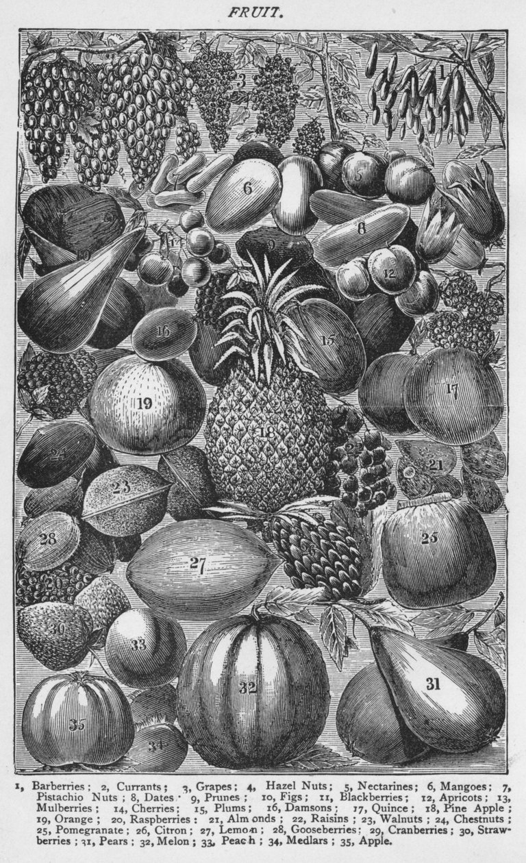 Fruits, 1907 - Unbekannt