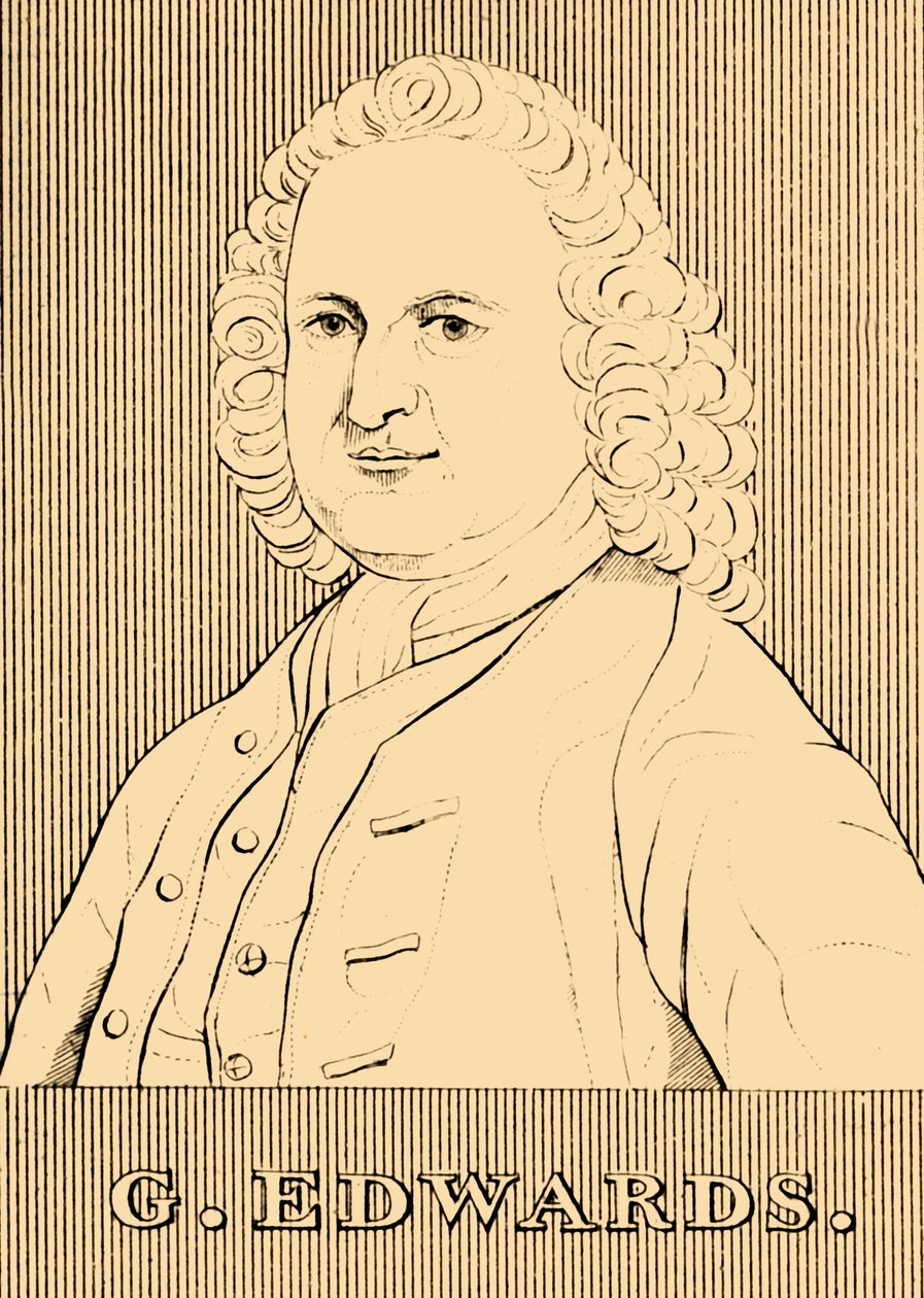 G. Edwards, 1694-1773, 1830 - Unbekannt