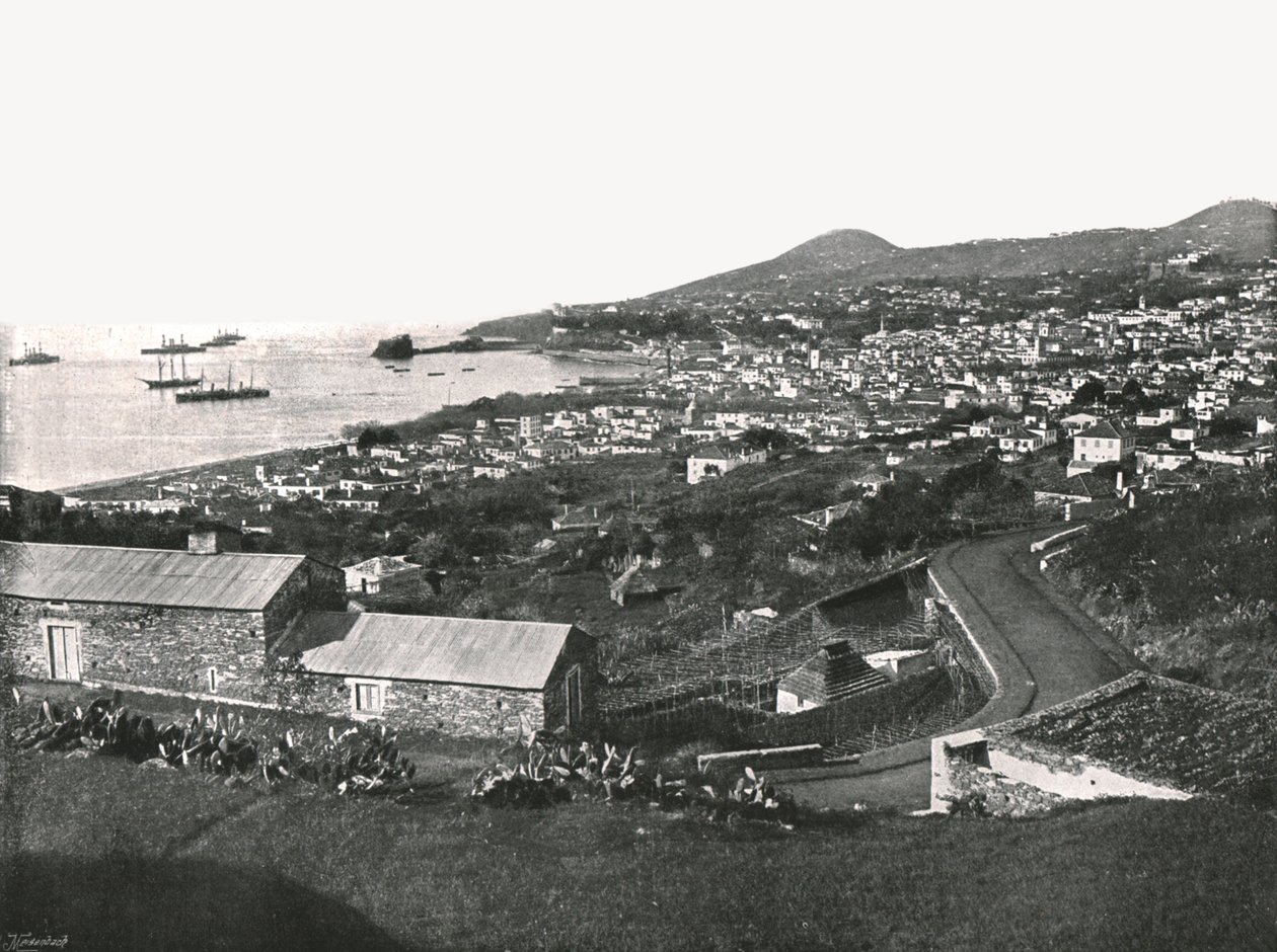 Vue générale de Funchal, Madère, Portugal, 1895 - Unbekannt