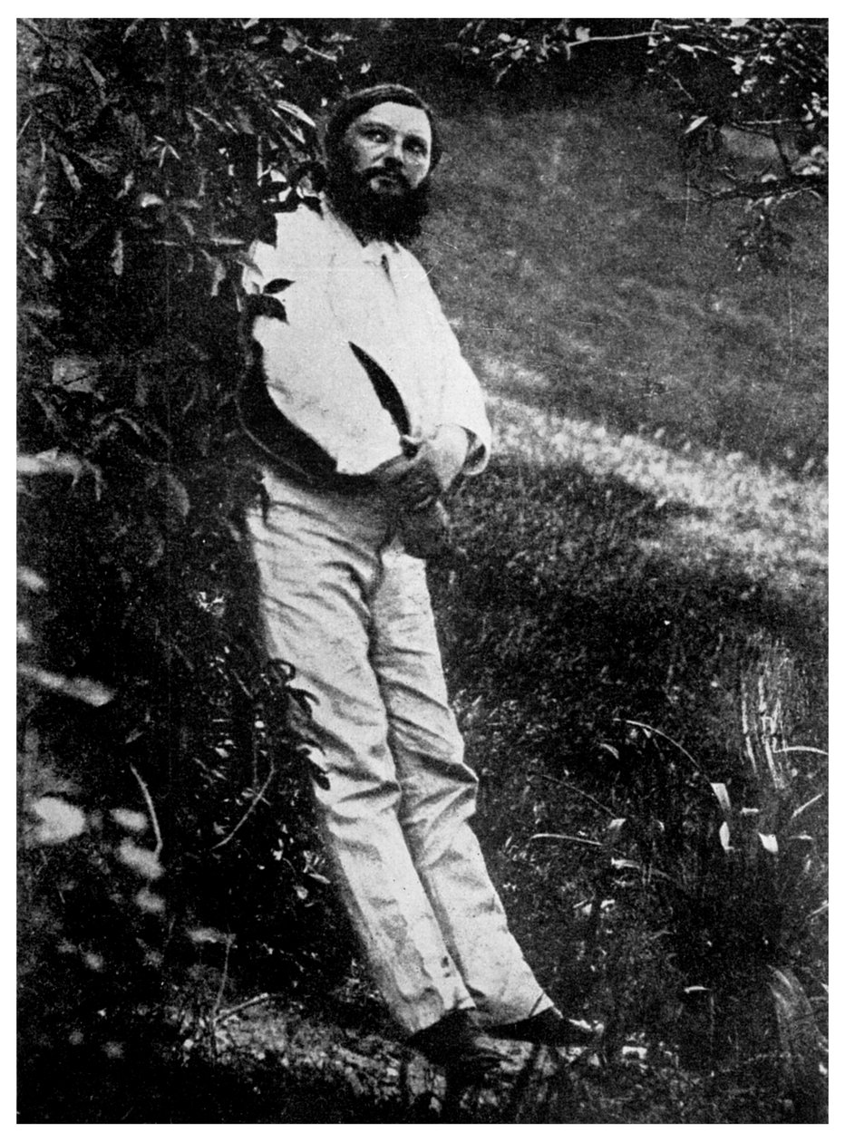 Gustave Courbet, artiste français, 19ème siècle - Unbekannt