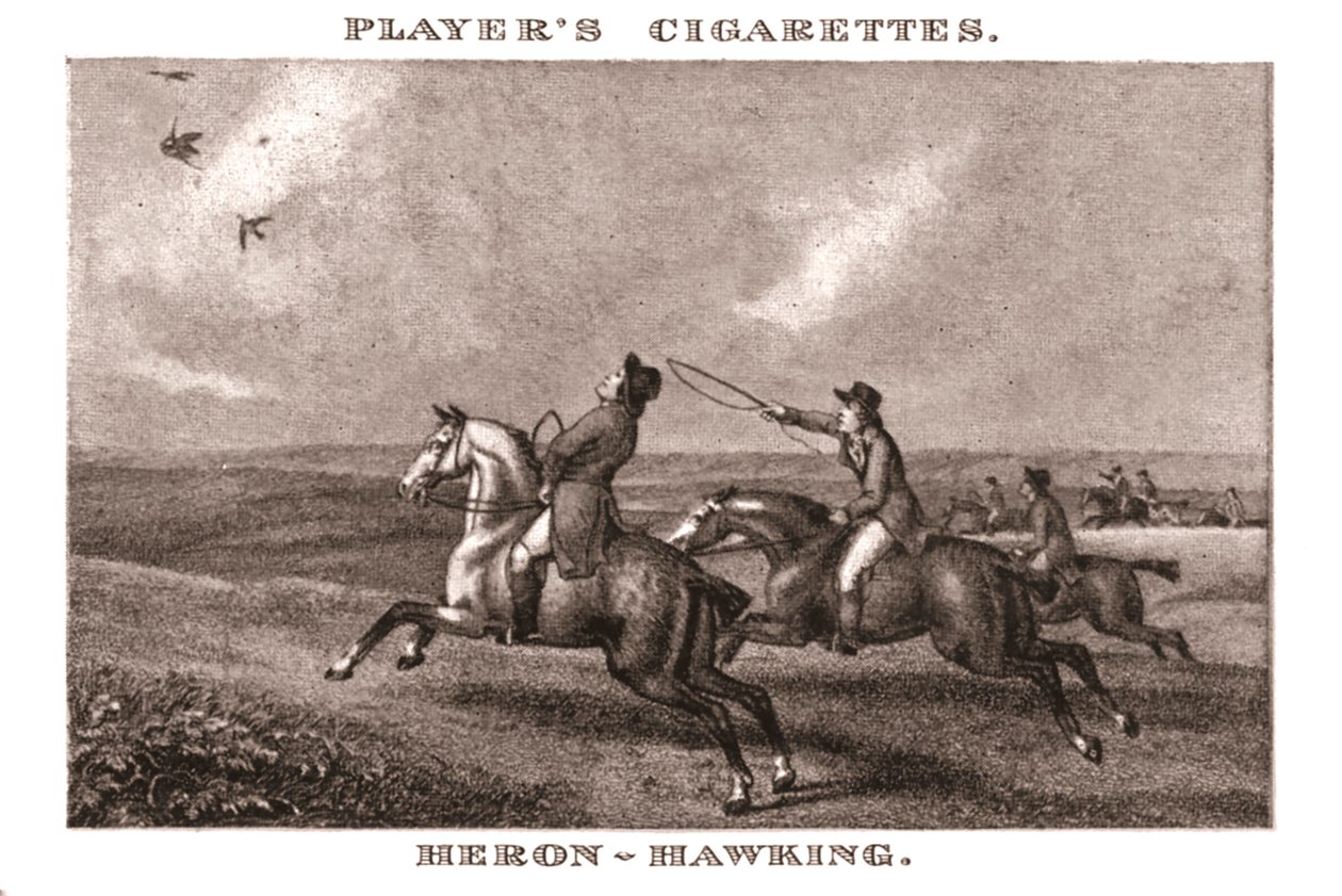 Chasse au héron - Unbekannt
