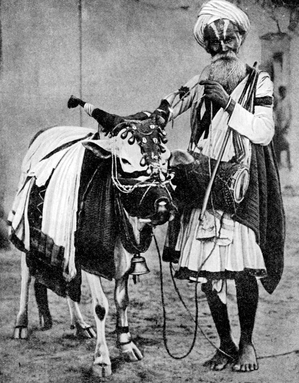 Vache hindoue avec vache sacrée, Inde, 1936 - Unbekannt