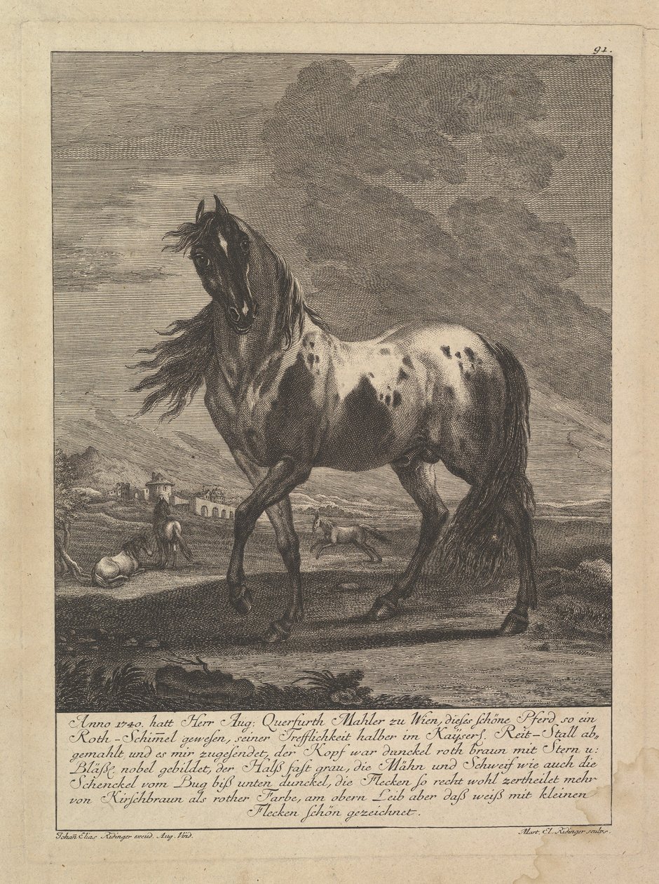 Cheval, 18e siècle - Unbekannt