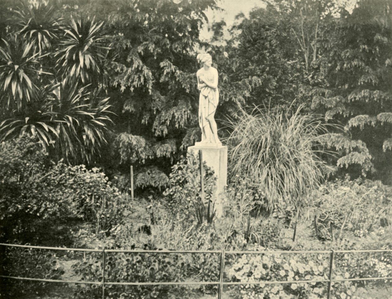 Dans les jardins de Fitzroy, Melbourne, 1901 - Unbekannt