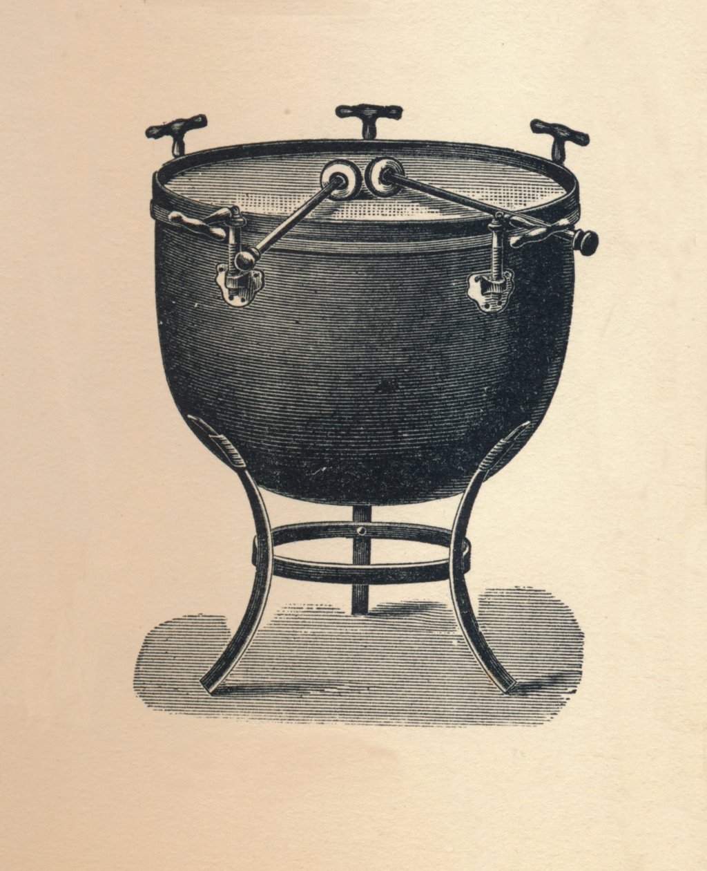 Timbales, 1895 - Unbekannt