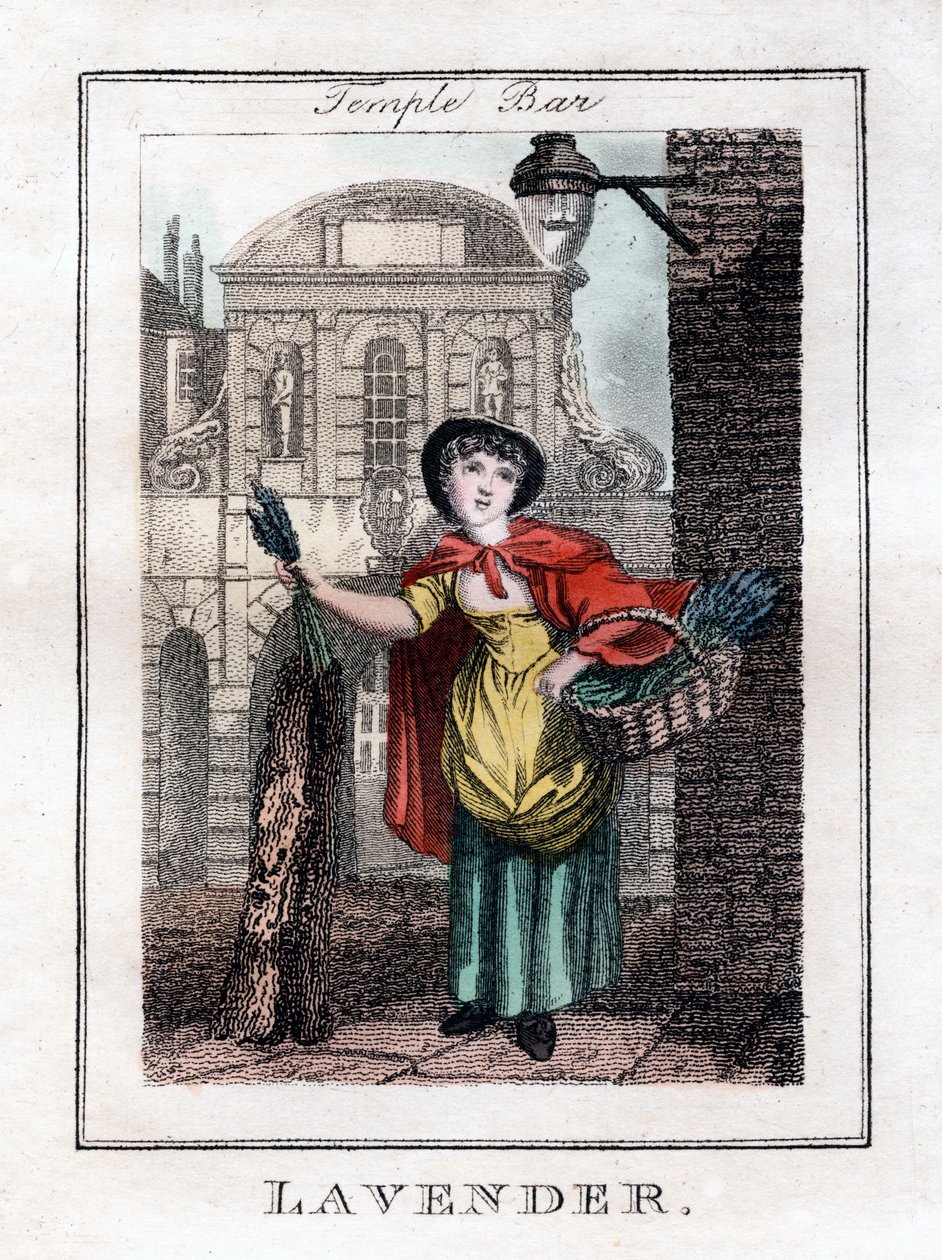 Lavande, Temple Bar, Londres, 1805 - Unbekannt
