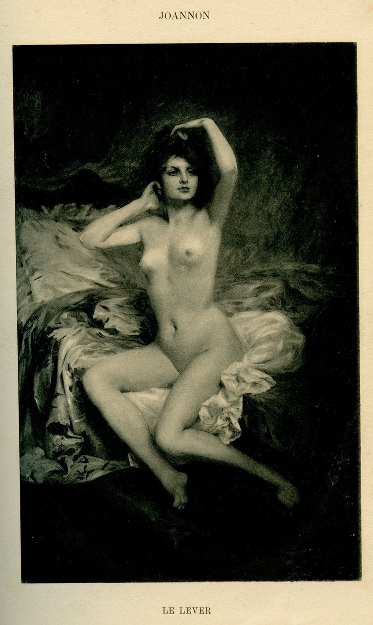 Le nu au salon parisien - Unbekannt