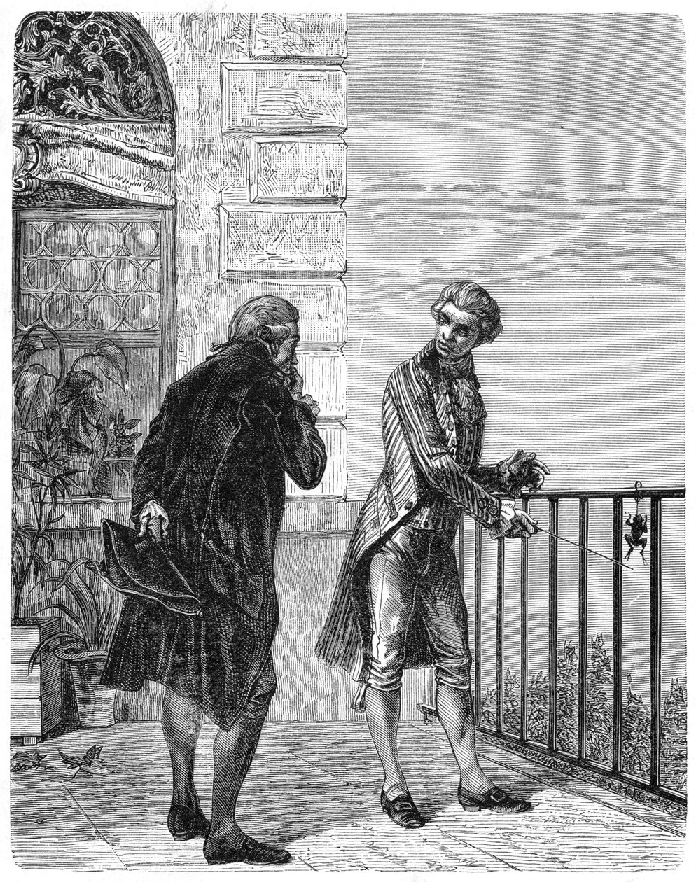 Luigi Galvani, physiologiste italien du 18ème siècle, 1880 - Unbekannt