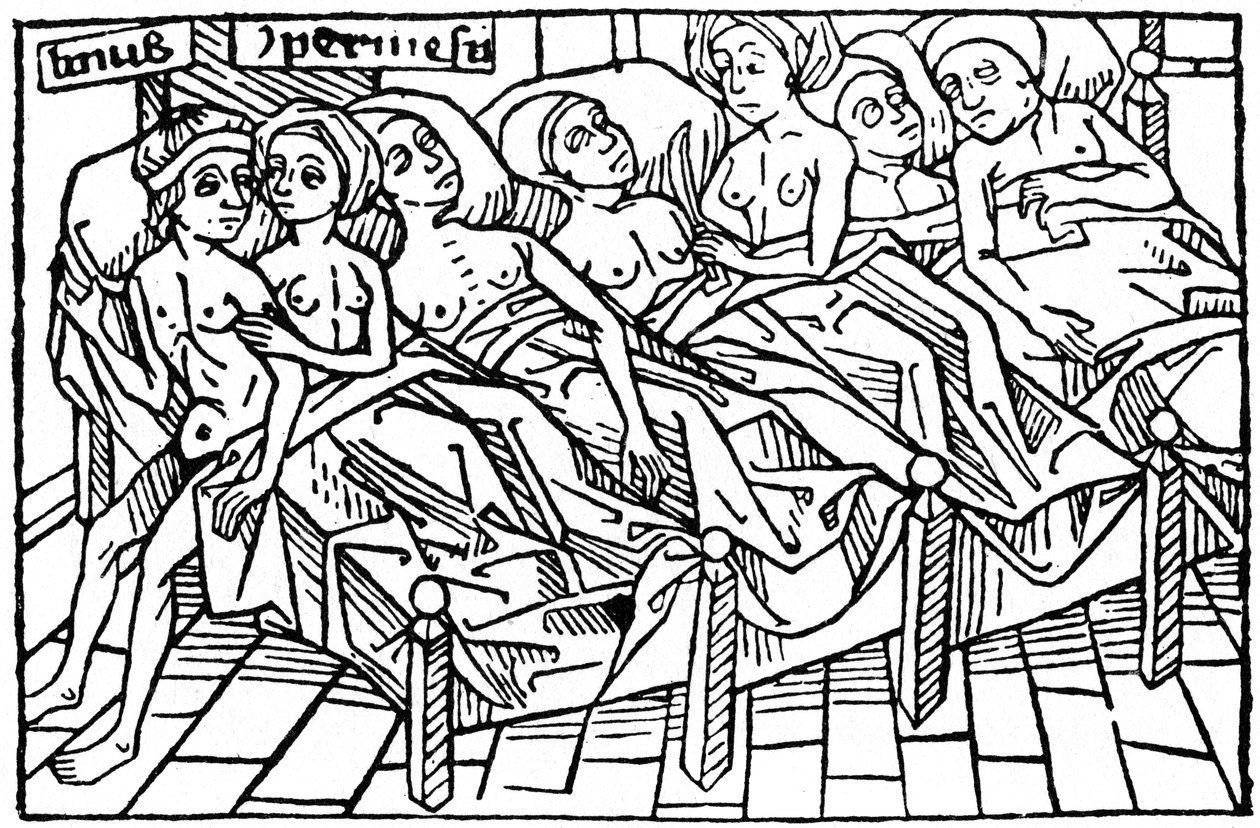Lynceus et Hypermnestra, 1479 1964 - Unbekannt