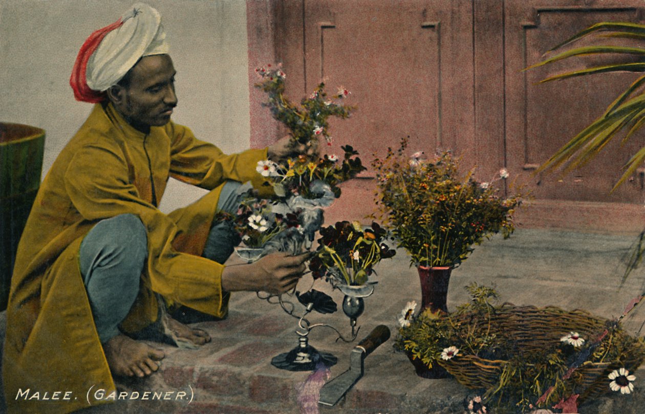 Malee. Jardinier, vers 1910 - Unbekannt