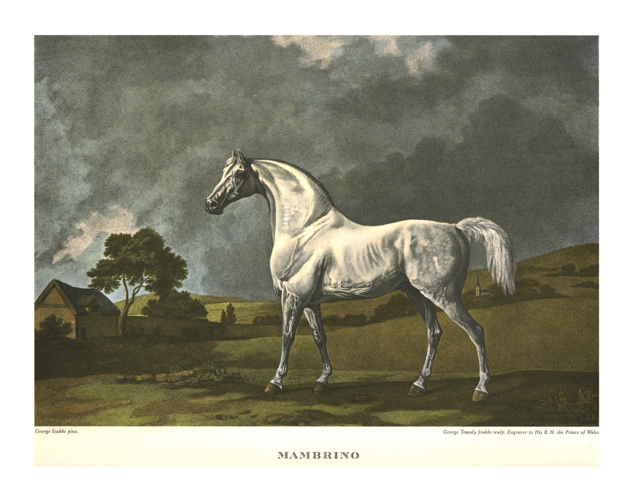 Mambrino, vers 1779, vers 1955 - Unbekannt