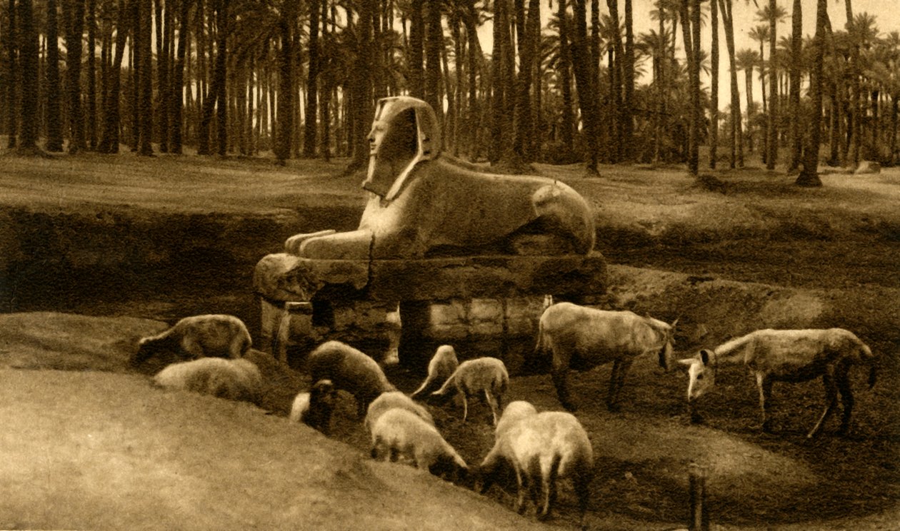 Memphis - Le Sphinx d