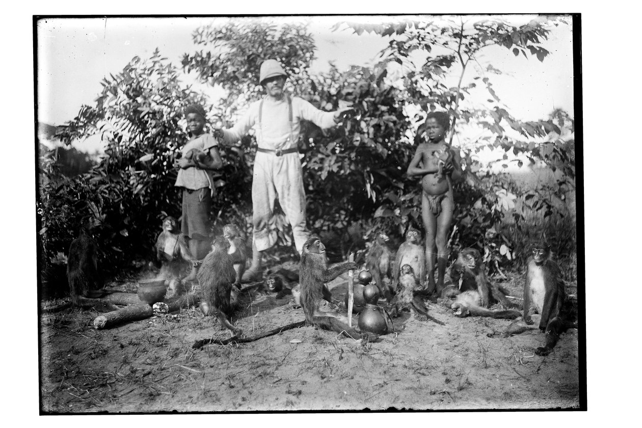 Singes, vers 1910 - Unbekannt