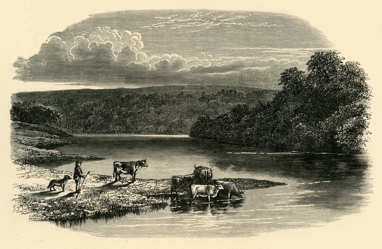 Sur le Dee, vers 1890 - Unbekannt