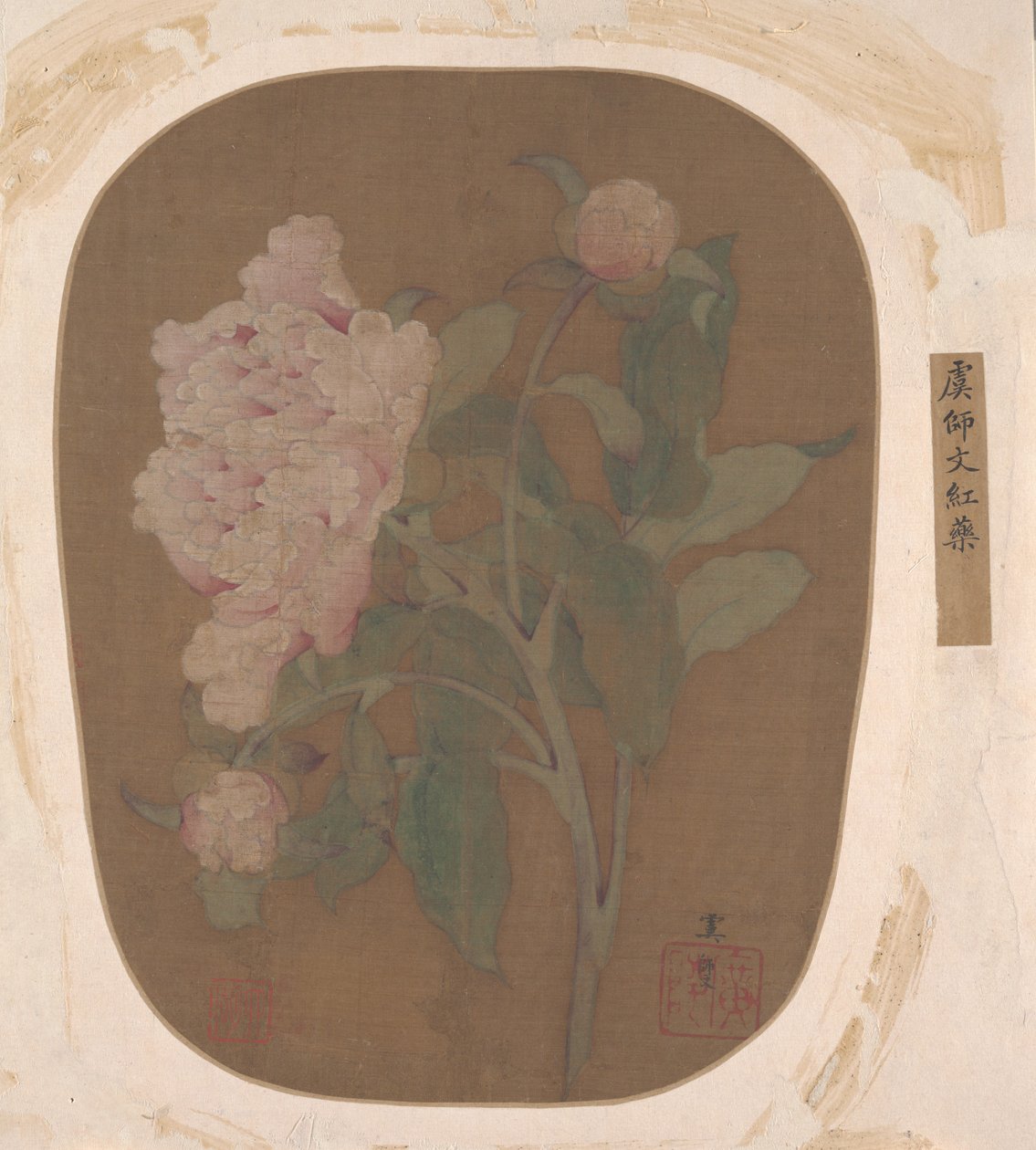 Fleur de pivoine et feuilles - Unbekannt