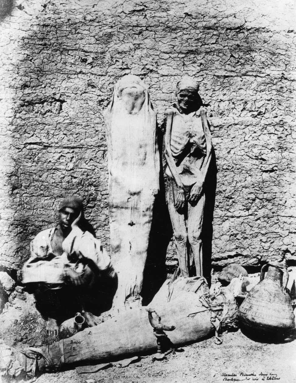 Photographie de momies, 1860 - Unbekannt