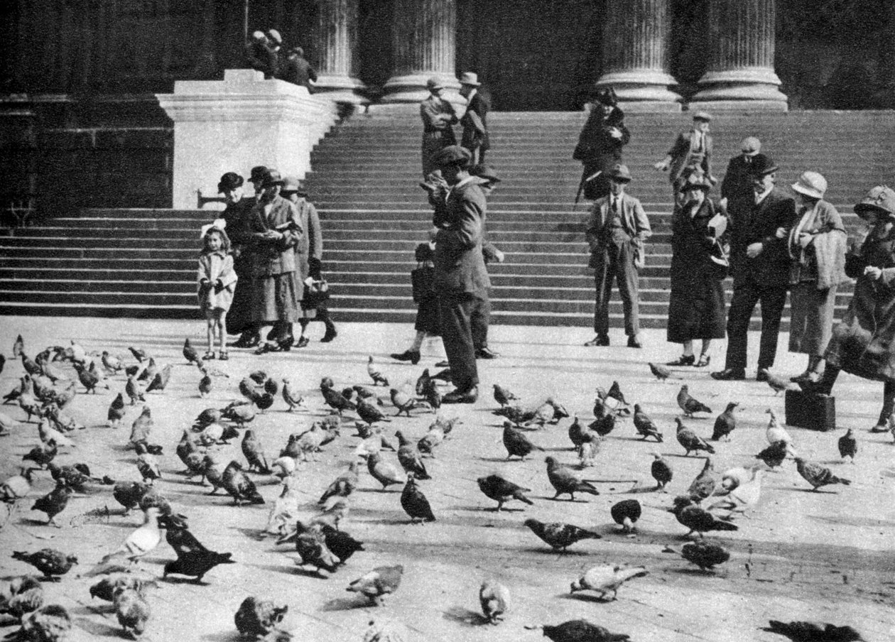 Pigeons à Trafalgar Square, Londres, 1926-1927 - Unbekannt