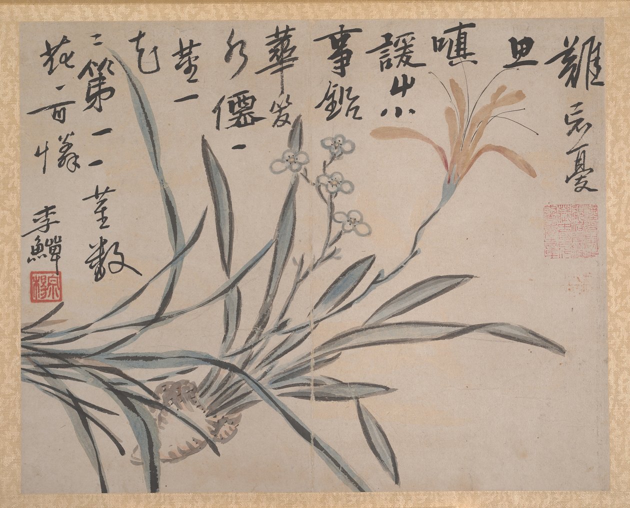 Plantes et légumes, daté 1740 - Unbekannt