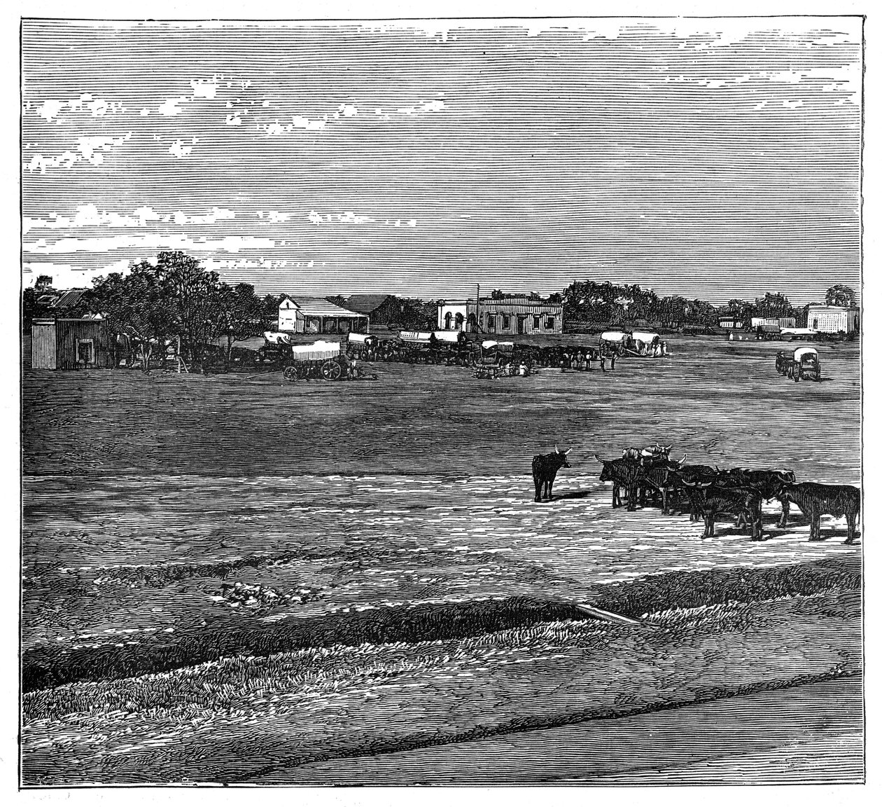Potchefstroom, Transvaal, Afrique du Sud - Unbekannt