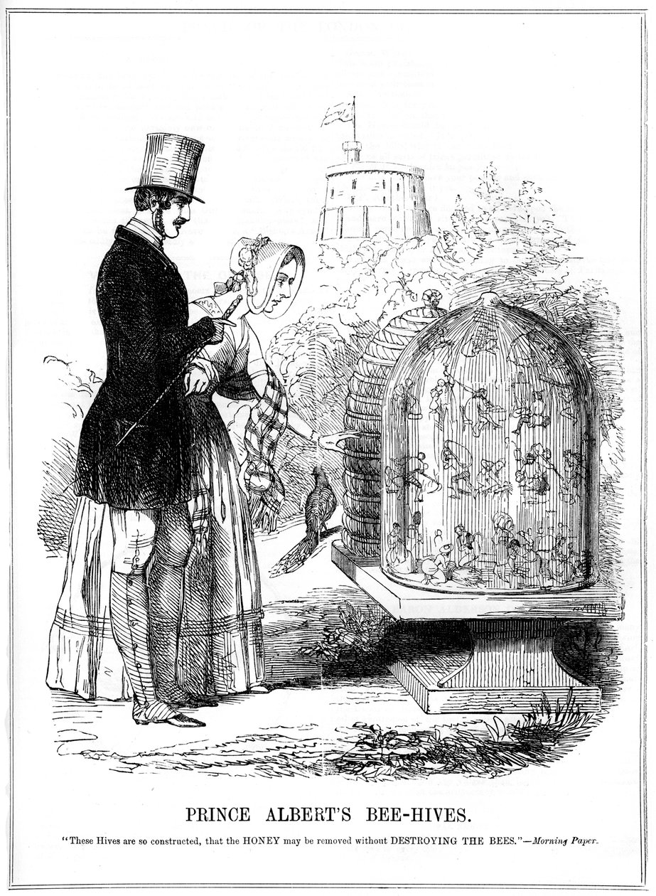 Les ruches du prince Albert, 1843 - Unbekannt