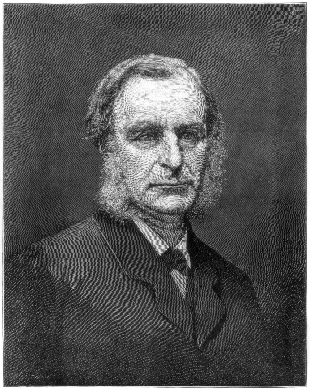 Révérend Charles Kingsley, ecclésiastique et écrivain anglais, 1875 - Unbekannt
