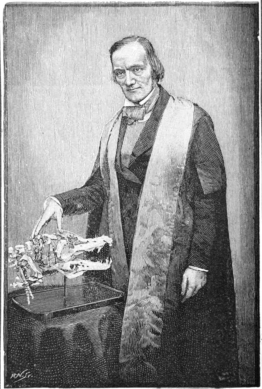 Richard Owen, naturaliste britannique, c1856 1891 - Unbekannt