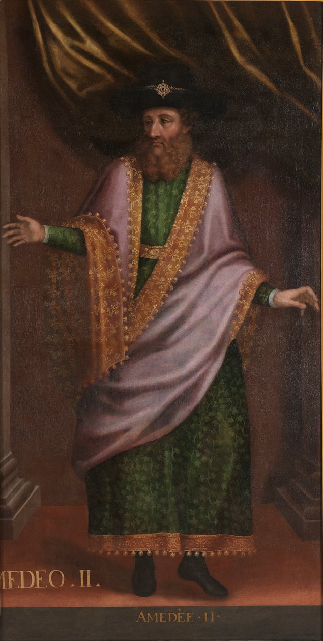 Portrait de Vittorio Amedeo II - Unbekannt