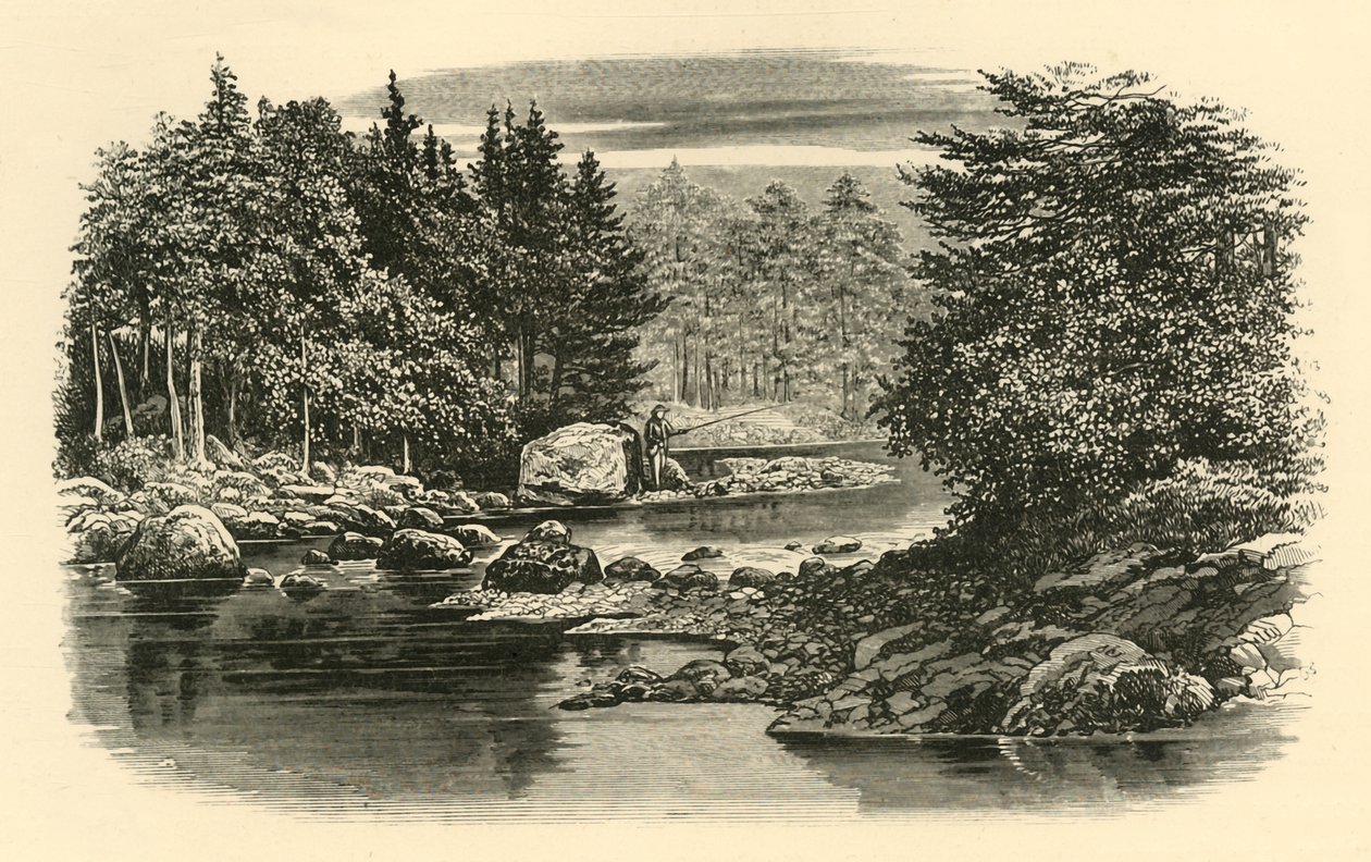 Scène de rivière, Langdale, vers 1890 - Unbekannt