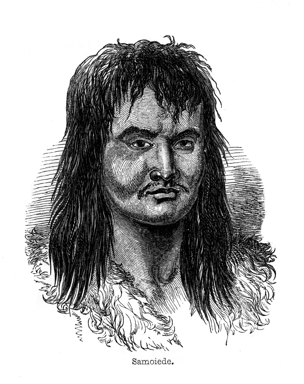 Samoïède, 1848 - Unbekannt