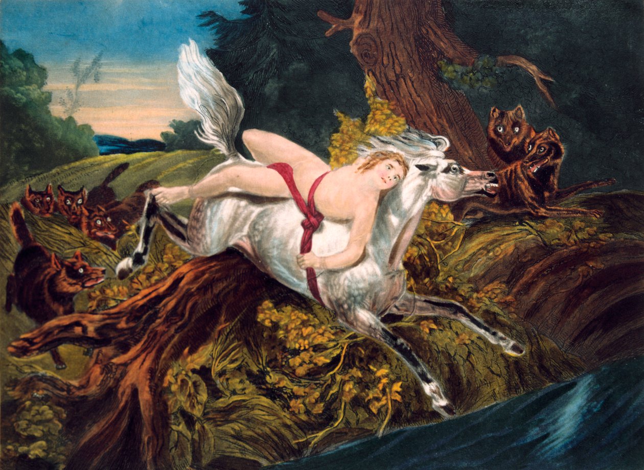 Scène du poème Mazeppa de Byron - Unbekannt